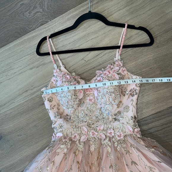Dancing Queen Blush Pink Gold Embroidered Tulle Floral Mini Dress Size XS - Picture 13 of 16